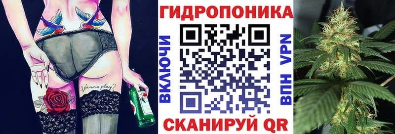 Шишки марихуана индика Купить закладки Харовск